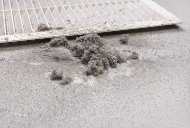 Best Emergency Air Duct Cleaning  in Spencerville, NM